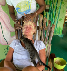 Hungry kittens eating the organic oats off of the Hostel Mom 's face 