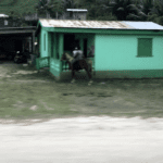 Small green house in remote area of Belize 