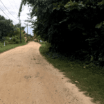 Dirt road in Placencia Belize