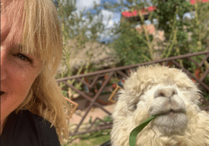 Selfi with an alpaca