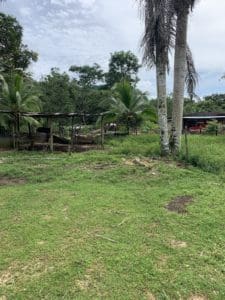 Farm in the Panama countryside 